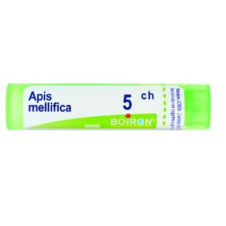 BOIRON APIS MELLIFICA MEDICINALE OMEOPATICO 5 CH GRANULI
