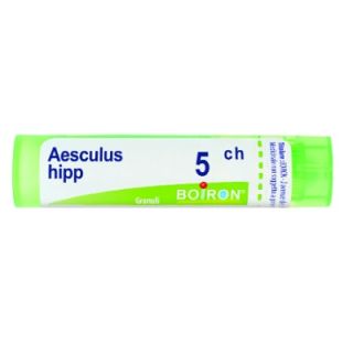 BOIRON AESCULUS HIPPOCAST MEDICINALE OMEOPATICO 5 CH GRANULI