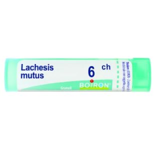 BOIRON LACHESIS MUTUS MEDICINALE OMEOPATICO 6 CH GRANULI