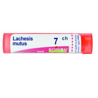BOIRON LACHESIS MUTUS MEDICINALE OMEOPATICO 7 CH GRANULI