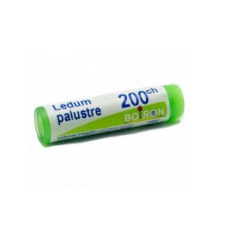 BOIRON LEDUM PALUSTRE MEDICINALE OMEOPATICO 200 CH GLOBULI