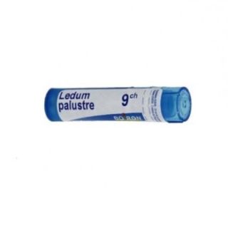 BOIRON LEDUM PALUSTRE MEDICINALE OMEOPATICO 9 CH GLOBULI