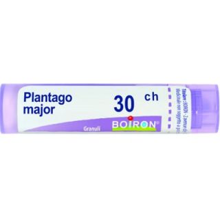 BOIRON PLANTAGO MAJOR MEDICINALE OMEOPATICO 30 CH GRANULI