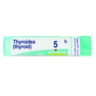 BOIRON THYROIDINUM MEDICINALE OMEOPATICO 5 CH GRANULI